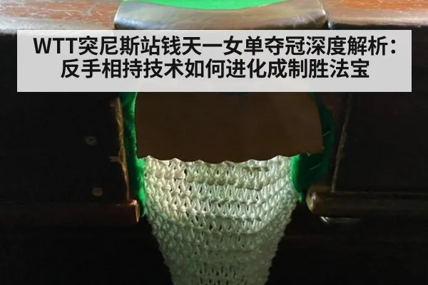 WTT突尼斯站钱天一女单夺冠深度解析：反手相持技术如何进化成制胜法宝 - nine game