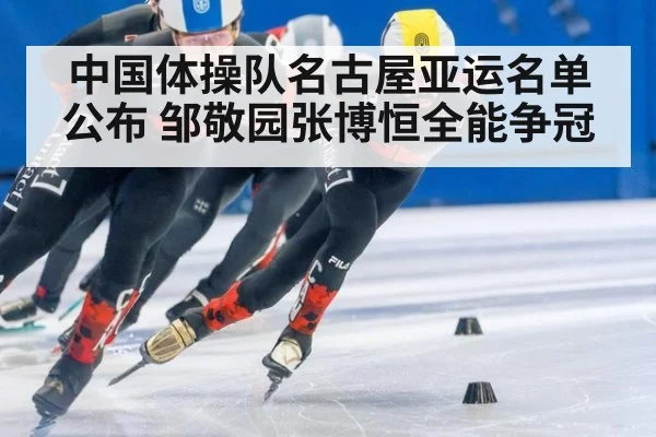 中国体操队名古屋亚运名单公布 邹敬园张博恒全能争冠 | jiuyou game